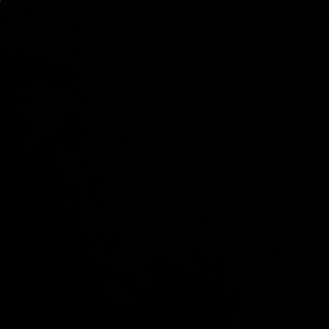 Meet your Posher, Wyatt